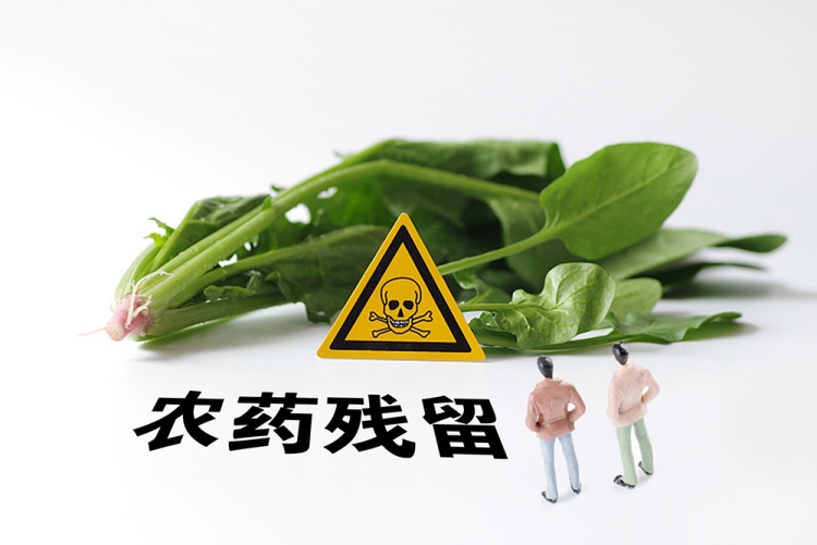 食品樣品中農(nóng)藥殘留的含量